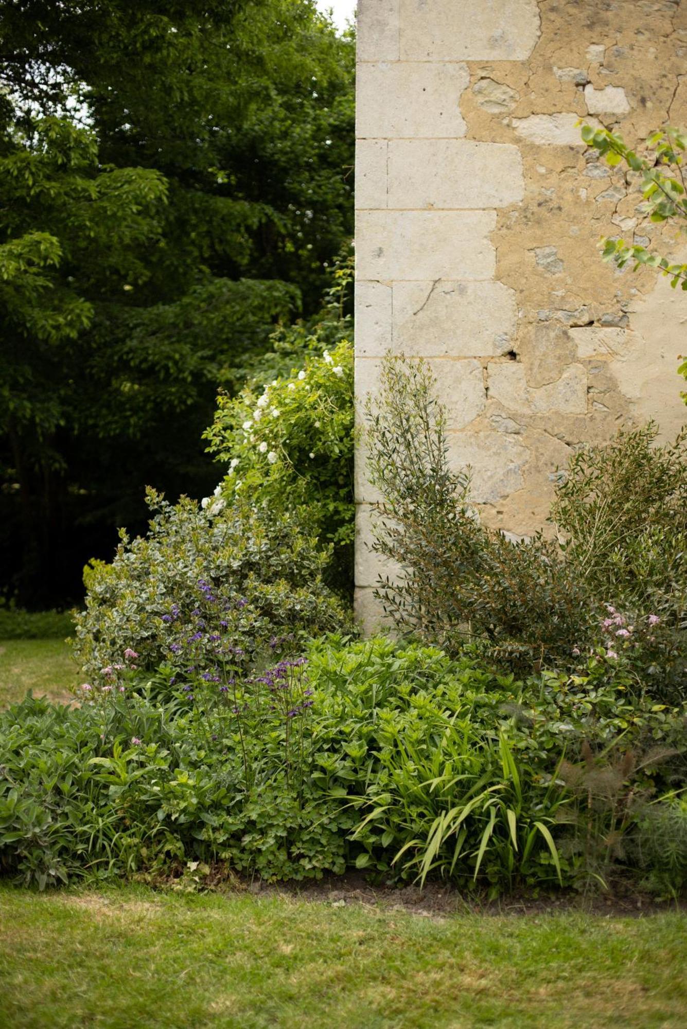 Hotel Le Manoir Du Plessis Dance  Exteriér fotografie