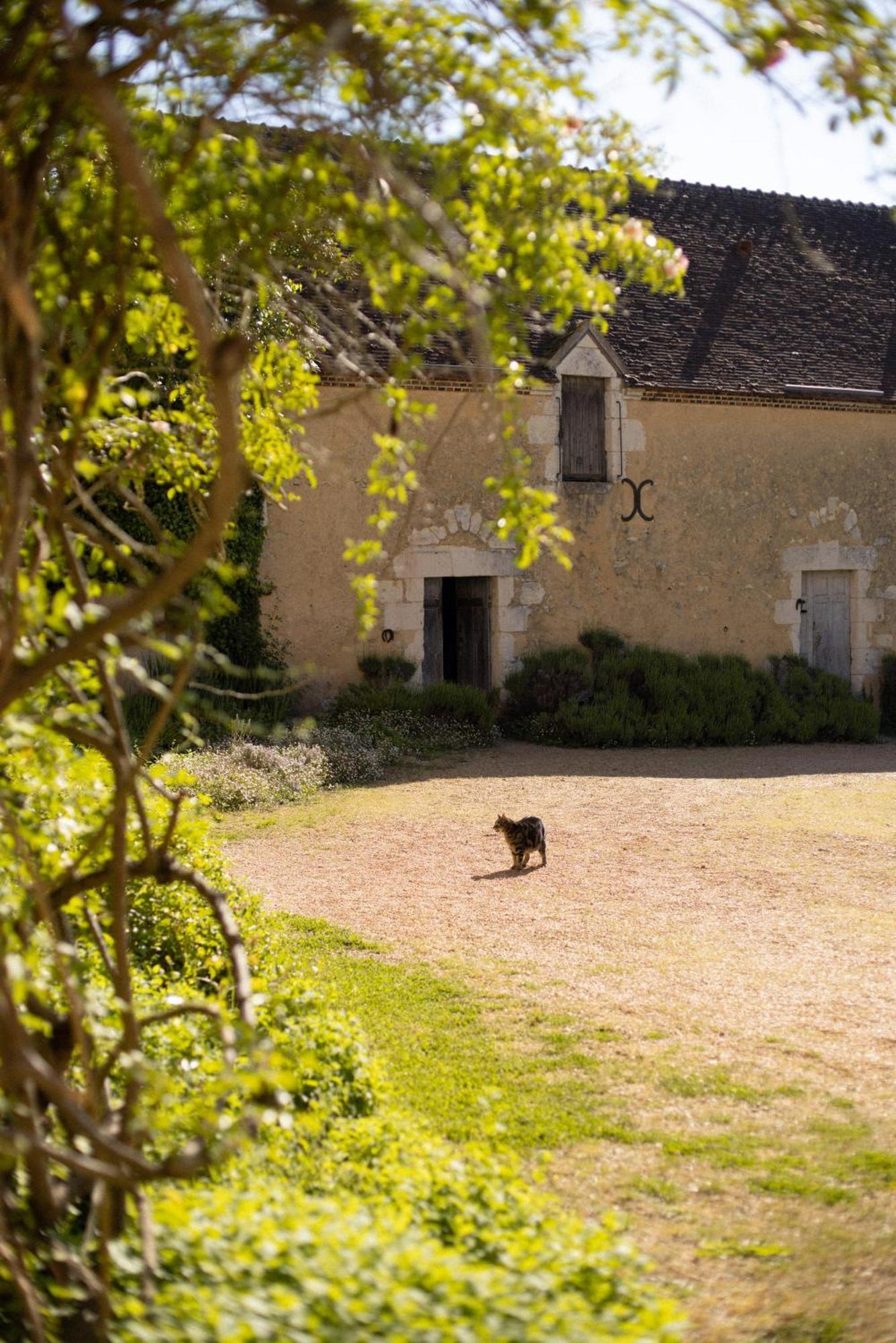 Hotel Le Manoir Du Plessis Dance  Exteriér fotografie